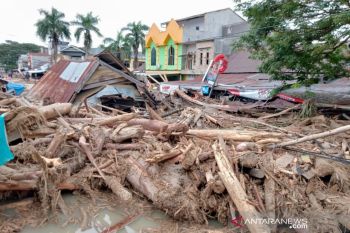 Banjir bandang  di Masamba akibat kerusakan  lingkungan