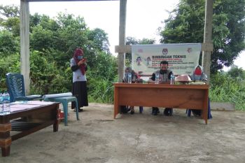 KPU Morut gelar bimtek PPDP di Petasia Barat