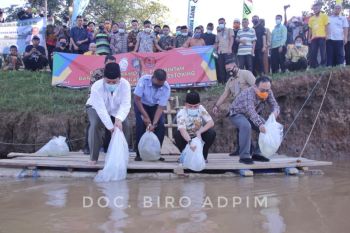 Gubernur tebar ribuan bibit ikan di Sungai Tiuh Waykanan