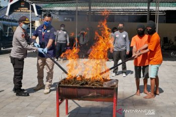 Sabu dan ganja senilai Rp5,89 miliar dimusnahkan