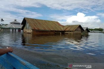 BPBD sebut banjir Konawe meluas ke 50 desa, 3.114 jiwa mengungsi