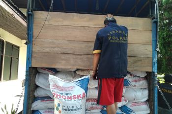 Polres Payakumbuh tangkap pelaku penyimpangan pendistribusian pupuk bersubsidi