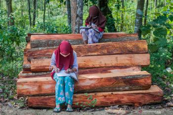 Operator seluler diminta bantu kelancaran belajar daring