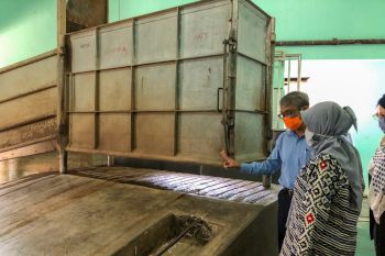 RPH Giwangan Yogyakarta maksimal memotong 225 sapi kurban