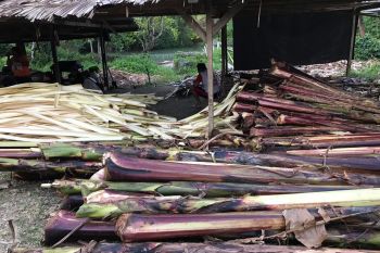 Badan Karantina Pertanian dorong ragam produk ekspor di Sulut