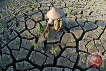 BMKG sebut sejumlah wilayah di DIY berstatus siaga kekeringan meteorologis
