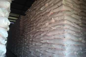 Pupuk Kaltim merealisasikan penyaluran 119.718 ton urea subsidi di NTB