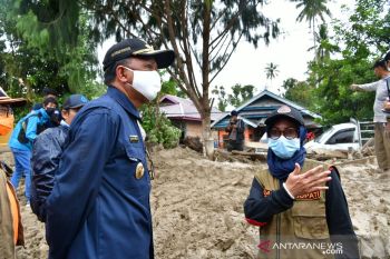 Gubernur Sulsel minta OJK ringankan kredit UMKM di Luwu Utara
