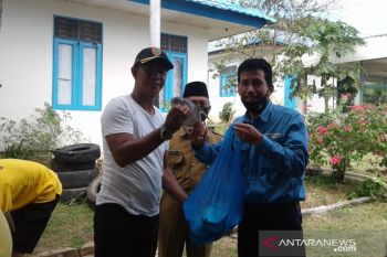 Panen perdana ikan peningkat imun selama covid-19 mendapat apresiasi