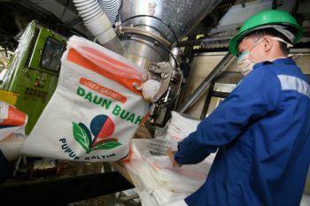 PT Pupuk Kaltim siapkan pupuk urea nonsubsidi untuk petani di Sulbar