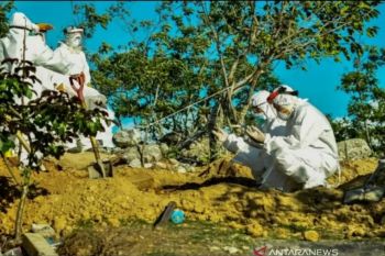 Dinkes Palu masih tunggu dana insentif COVID-19 untuk tenaga kesehatan