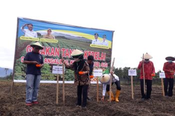 Pemprov Sulteng-Pemkab Sigi gagas penanaman kedelai di tengah pandemi COVID-19
