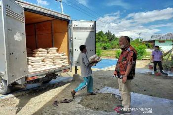 Legislator:  Banyak korban bencana di Sigi perlu perhatian pemerintah