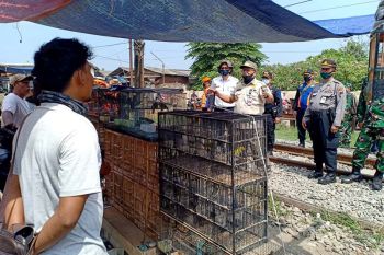 KAI sosialisasikan keamanan perjalanan kereta api di Tegal