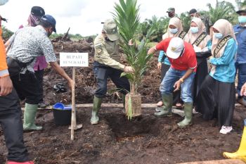 Program PSR, Plh Bupati Bengkalis tanam perdana bibit sawit