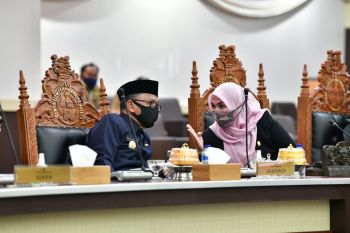 Pemprov Sulsel siapkan 30.000 bibit kembangkan jeruk Selayar