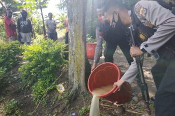 Polisi Wamena amankan empat warga penjual minuman lokal beralkohol