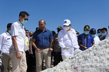 Mendag harapkan NTT tingkatkan produksi garam