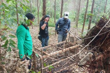 Mengendus jerat maut penghuni rimba