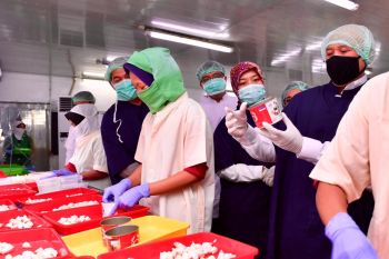 Menkop: Rantai pasokan harus diperkuat guna perkuat industri perikanan Lampung