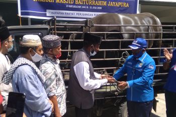 Demokrat Papua salurkan hewan kurban tiga masjid Kota Jayapura