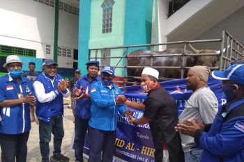 Penyerahan Hewan Kurban Partai Demokrat Papua