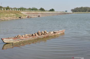Waduk Saradan Mulai Menyusut