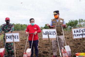 Wagub Sulsel dorong pemuda jadi penggerak kedaulatan pertanian