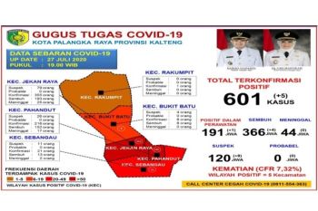 Kasus positif COVID-19 di Palangka Raya capai 601 orang