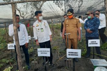 Mentan serahkan bantuan pertanian Rp26 miliar ke Kabupaten Sidrap