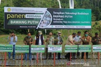 Sulteng  jadikan Dataran Napu sentra produksi hortikultura