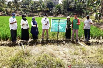 DPTPH Kaltim sosialisasi program Kostratani