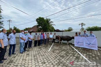 Bank Nagari serahkan lima ekor hewan qurban