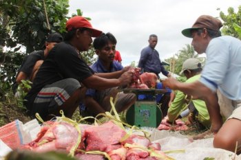 ACT siapkan ratusan paket kurban untuk masyarakat Maluku