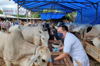 Bandarlampung turunkan tim pengawas hewan qurban hingga H+3