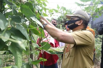 Kagum dengan Potensi Perkebunan Lada di Mangkupadi