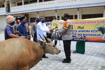Kapolresta Jayapura sumbang hewan kurban sapi ke ponpes dan panti asuhan