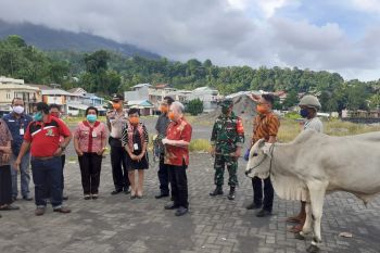 Serahkan Bantuan Hewan Kurban,Wabup Ingatkan Umat Patuhi Protap