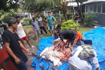 Dapat sumbangan dua sapi kurban, warga binaan Lapas Padang makan kalio dan sup daging bersama
