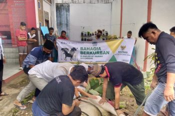 Baznas bersinergi dengan BSG-BI-Muzakki menyalurkan hewan kurban