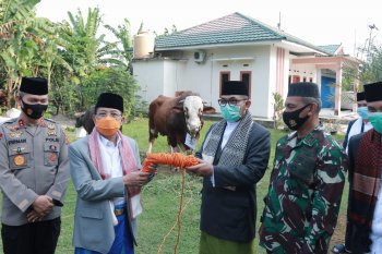 Usai shalat Idul Adha, gubernur serahkan kurban di masjid Al-Falah