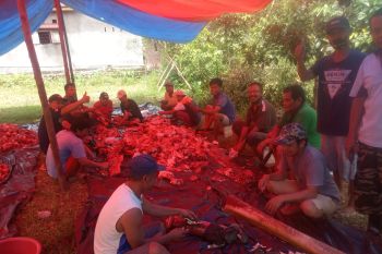 LDII Agam membagikan 1.000 kantong daging kurban