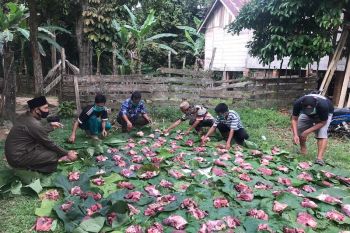 Warga Musi Banyuasin gunakan daun pisang wadahi  daging kurban
