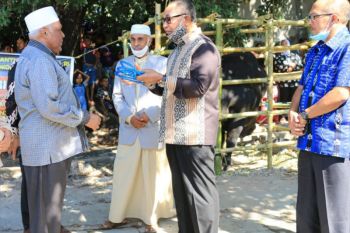 Wagub NTT serahkan hewan kurban bantuan Presiden
