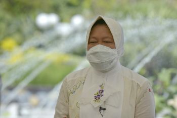 Wali Kota Surabaya Tri Rismaharini ajak warga berbagi di momen Idul Adha