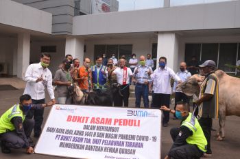 PT BA salurkan hewan kurban di sekitar wilayah operasional perusahaan