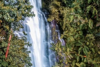 Dengan menerapkan protokol kesehatan, Objek Wisata Curup Kambas di OKU dibuka kembali untuk umum
