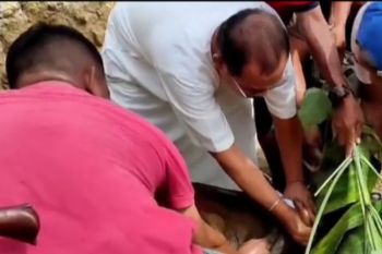 Penyembelihan hewan kurban masih berlangsung di Mamuju