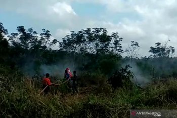 BPBD PALI mulai padamkan karhutla  di tengah penanganan COVID-19
