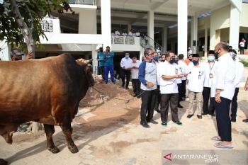 BP Batam sembelih belasan hewan kurban